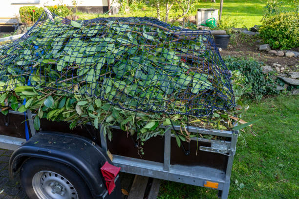 Professional Junk Removal Services in Wade, MS